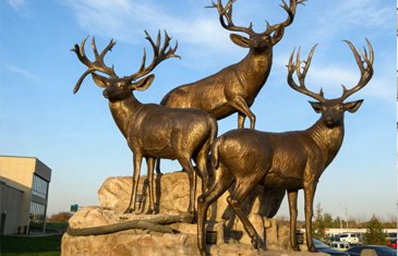 A group of large bronze deer statues installed in a public park with internal stainless steel armature for long-term structural stability
