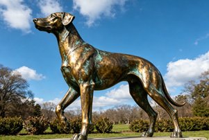 Bespoke life-size bronze dog statue for Pets & Companion Animals memorials, featuring hyper-realistic fur textures for luxury private estates.