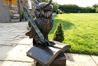 Custom bronze owl sculpture on a book for school campus landscaping, symbolizing wisdom and inspiring students' aesthetic vision