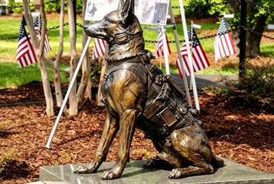 Realistic small-scale bronze dog sculpture for a private residence courtyard, featuring exquisite details to elevate daily life quality