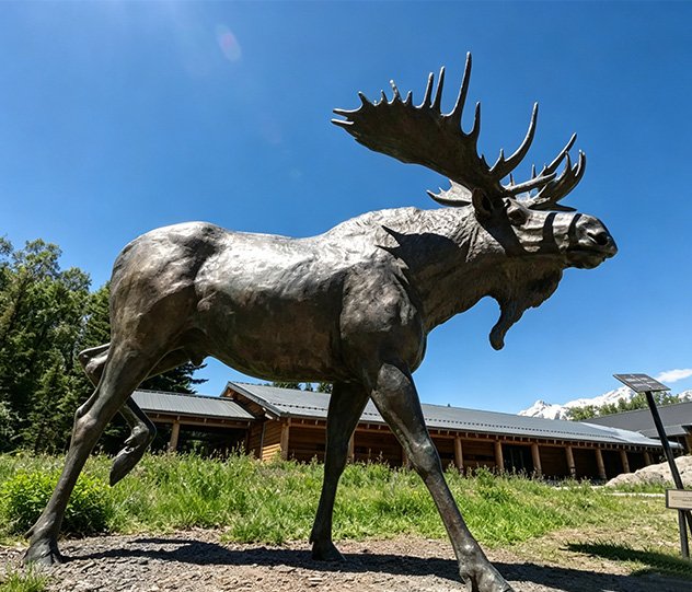 Monumental realistic moose sculpture installed in a mountain resort, demonstrating our technical solutions and FAQ for Landscape Architects regarding site-specific artistic installations.