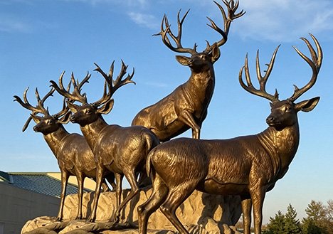 A group of Custom Bronze Sculptures featuring life-size deer, cast in 88% tin bronze with diverse artistic patination for city founder monuments.