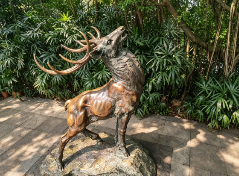 Side view of the Deer Call bronze deer sculpture on a rock base in Luhu Park, antlers raised and head lifted, showing the life-size proportions and patina
